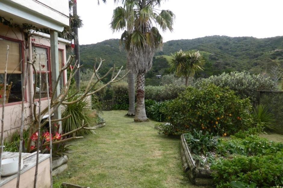 Great Barrier Oasis Lodge Tryphena Экстерьер фото